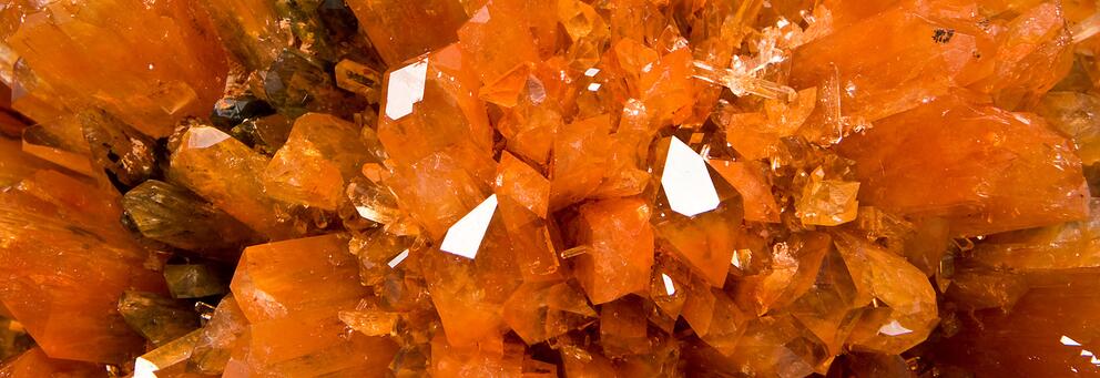 Votre visite à la Collection